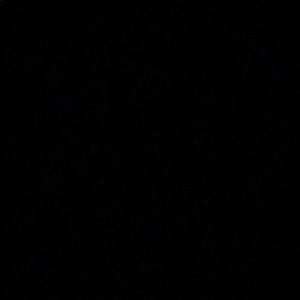 Meet your Posher, Gavin